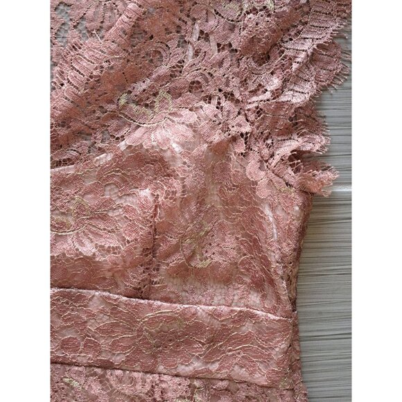 Ann Taylor Petites 6P Pink Rose Lace Peplum Top Cap Sleeves  V-Neck Y2K Romantic - Picture 3 of 8